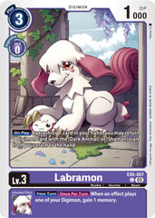 Animal Colosseum Singles