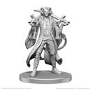 Critical Role Unpainted Miniatures: Mollymauk Tealeaf & Caduceus Clay