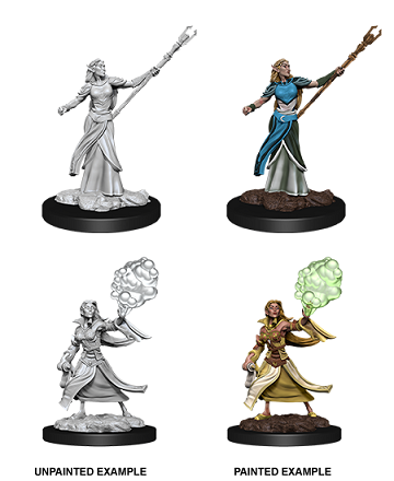 Nolzur's Marvelous Miniatures: Female Elf Sorcerer