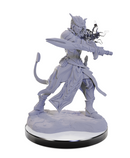 Nolzur's Marvelous Miniatures: Tiefling Warlocks