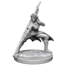 Nolzur's Marvelous Miniatures: Human Monk (Female)