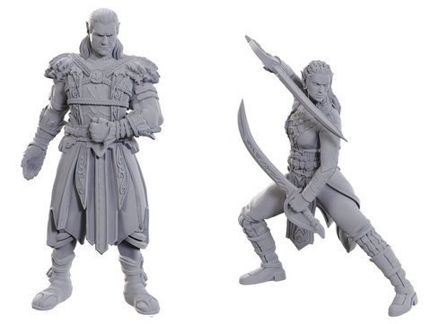 Dnd Unpainted Minis Special Edition - Baldur's Gate 3 -Jaheira & Halsin