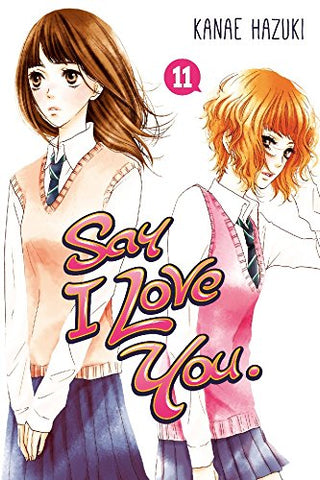 Say I Love You GN Vol 11