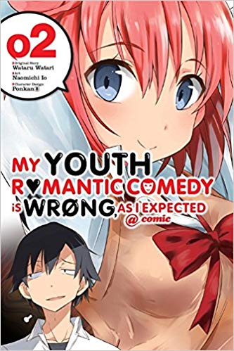 My Youth Romantic Comedy Is Wrong As I Expected GN Vol 02