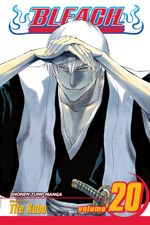 Bleach Vol 20