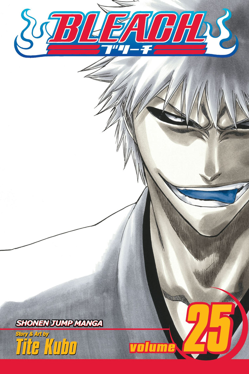 Bleach Vol 25