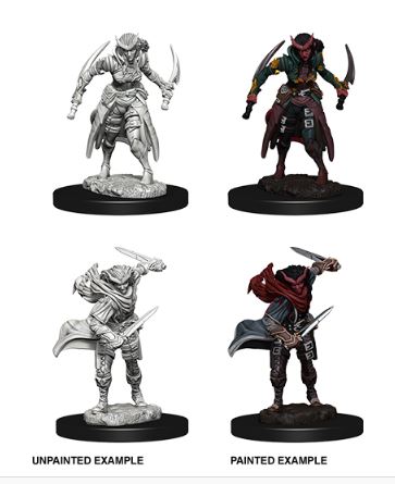 Nolzur's Marvelous Miniatures: Tiefling Female Rogue