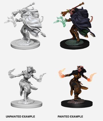 Nolzur's Marvelous Miniatures: Female Tiefling Warlock