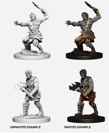 Nolzur's Marvelous Miniatures: Nameless One