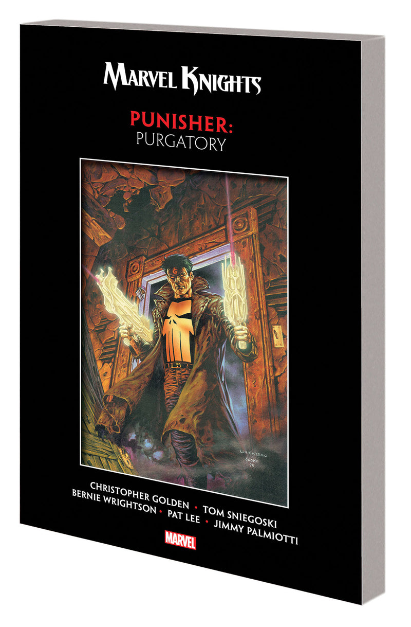 Marvel Knights Punisher TP Purgatory