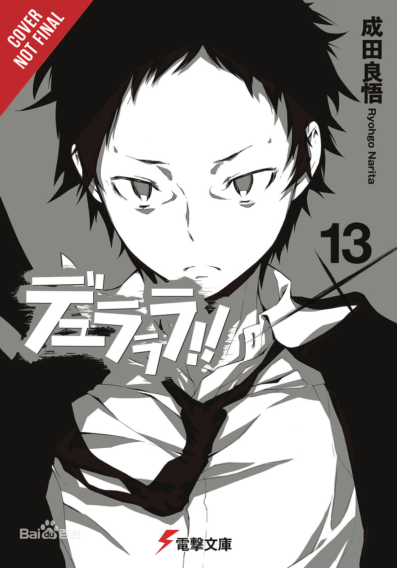 Durarara Light Novel Vol 13