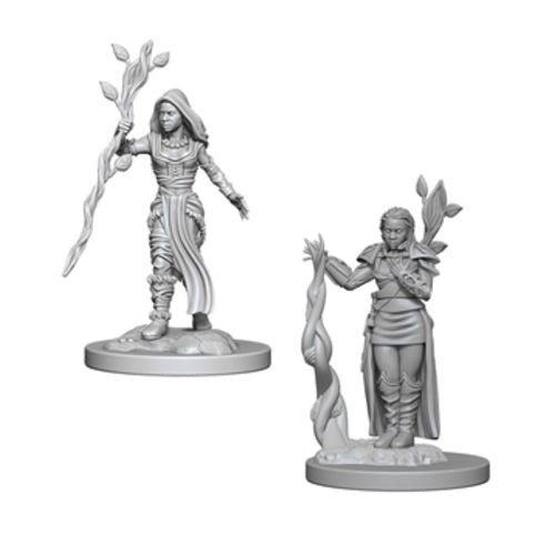 Nolzur's Marvelous Miniatures: Human Female Druid