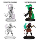 Nolzur's Marvelous Miniatures: Tiefling Female Sorcerer