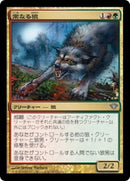 Immerwolf [Dark Ascension] (Japanese)