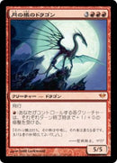 Moonveil Dragon [Dark Ascension] (Japanese)