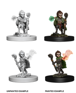 Pathfinder Battles Deep Cuts: Gnome Male Druid