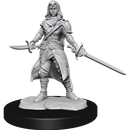 Nolzur's Marvelous Miniatures: Half-Elf Rogue Female
