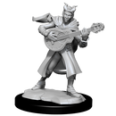 Nolzur's Marvelous Miniatures: Tiefling Bard Female