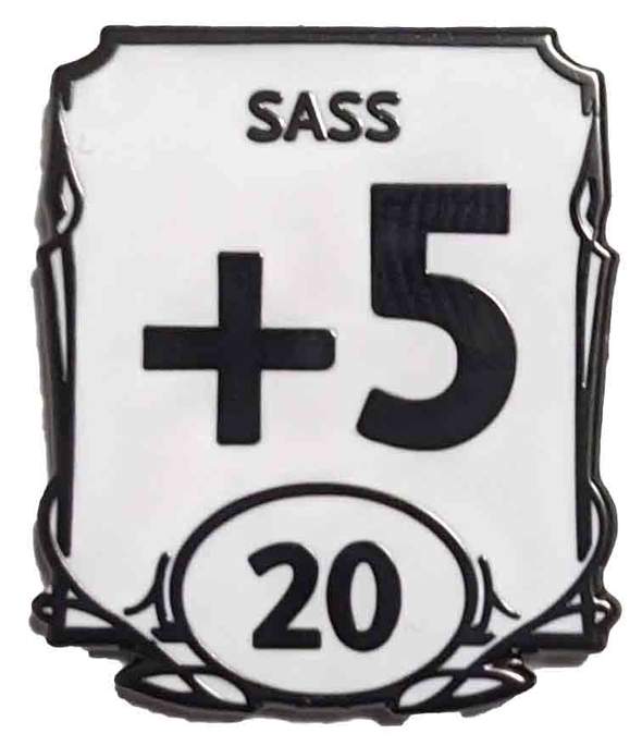 Enamel Pins: DnD Stats Sass